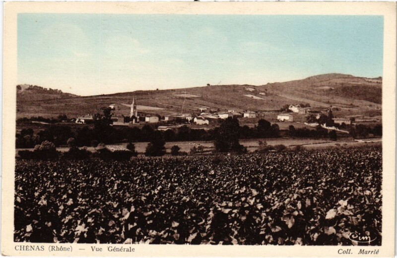 Carte postale ancienne Chenas - Vue Generale à Chénas