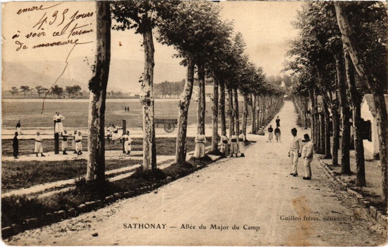 Carte postale ancienne Sathonay - Allee du Major du Camp