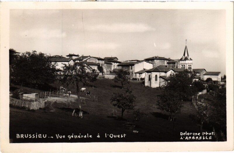 Carte postale ancienne Brussieu - Vue General a l'Ouest à Brussieu