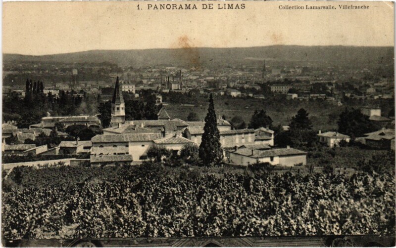 Carte postale ancienne Limas - Panorama de Limas à Limas