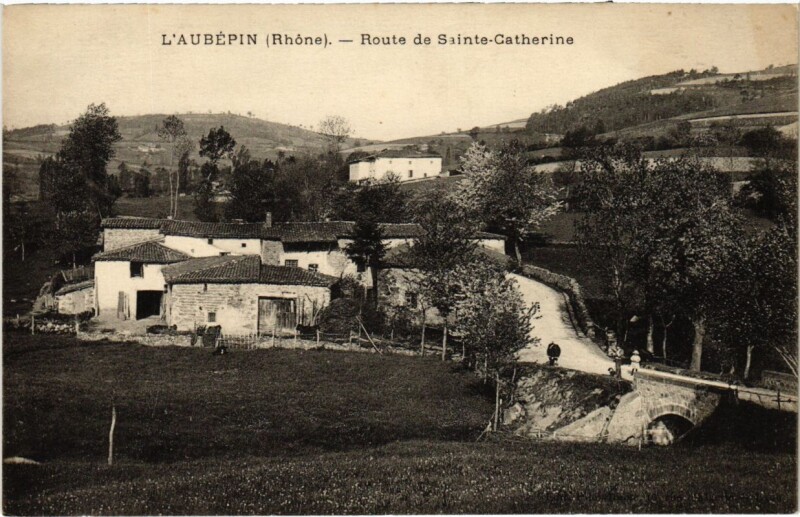 Carte postale ancienne L'Aubepin - Route de Sainte-Catherine à Sainte-Catherine