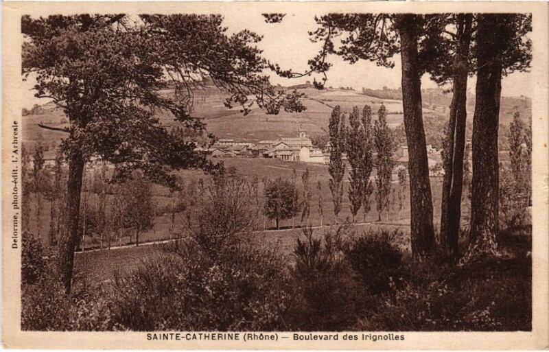 Carte postale ancienne Sainte-Catherine - Boulevard des Irignolles à Sainte-Catherine