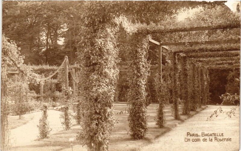 Carte postale ancienne Bagatelle - Un coin de la Roseraie à Paris