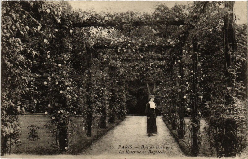 Carte postale ancienne Bois de Boulogne - La Roseraie de Bagatelle à Paris