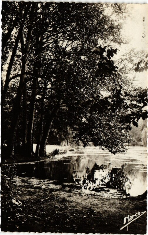 Carte postale ancienne Le Bois de Boulogne - Coin reposant près du champ à Paris 16e