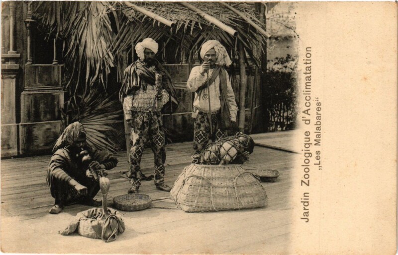 Carte postale ancienne Jardin Zoologique d´Acclimatation - Les Malabares à Neuilly-sur-Seine