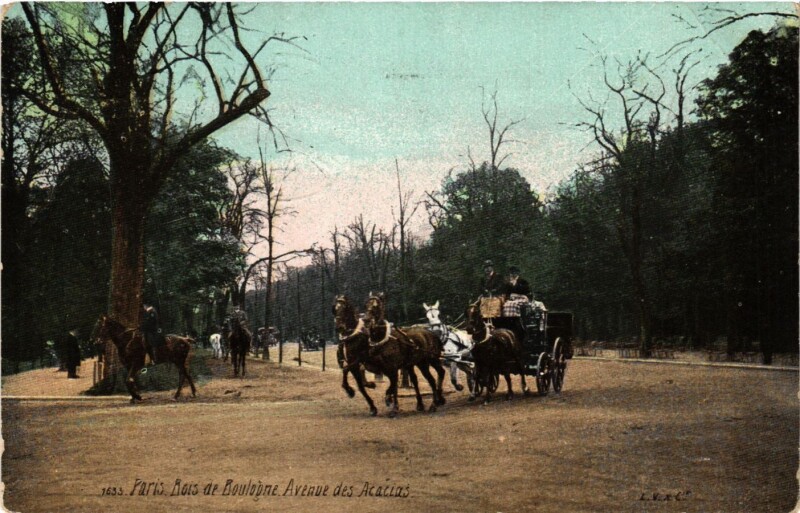 Carte postale ancienne Bois de Boulogne - Avenue des Acacias à Paris 16e