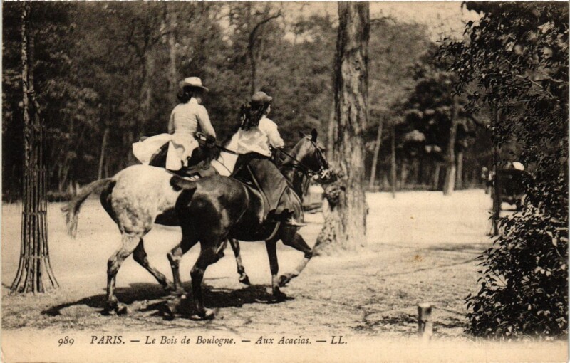 Carte postale ancienne Le Bois de Boulogne - Aux Acacias à Paris 16e