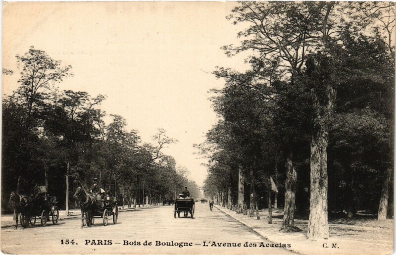 Carte postale ancienne Bois de Boulogne - L'Avenue des Accacias à Paris 16e