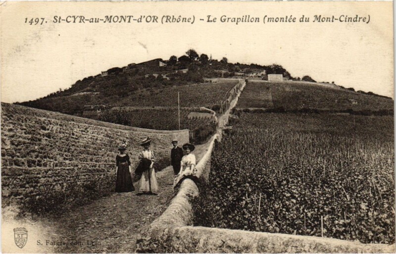 Carte postale ancienne Saint-Cyr-au-Mont-d'Or - Le Grapillon - Montee du Mont-Cindre à Saint-Cyr-au-Mont-d'Or