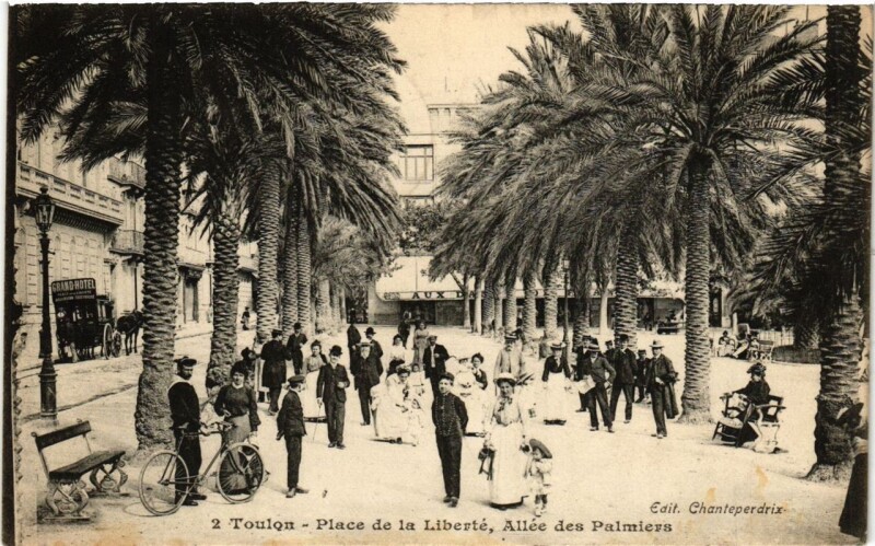 Carte postale ancienne Toulon Place de la Liberté-Allée des Palmiers à Toulon