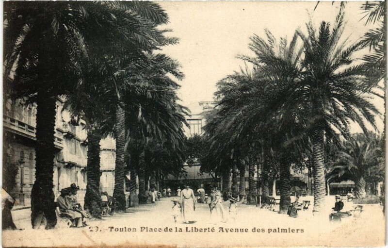 Carte postale ancienne Toulon Place de la Liberté-Avenue des Palmiers à Toulon
