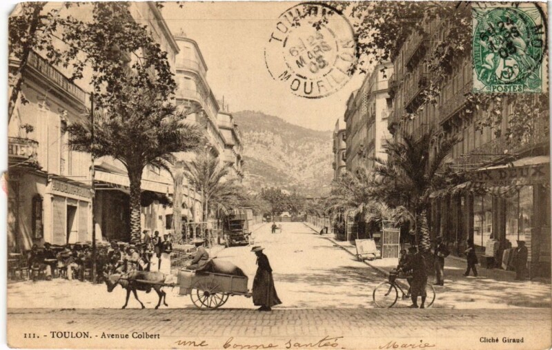 Carte postale ancienne Toulon Avenue Colbert à Toulon