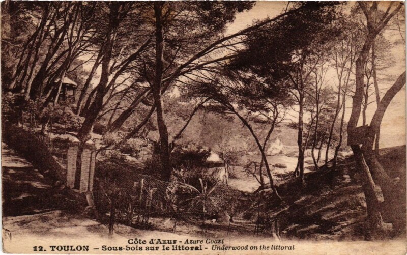 Carte postale ancienne Toulon Sous bois sur le littoral à Toulon