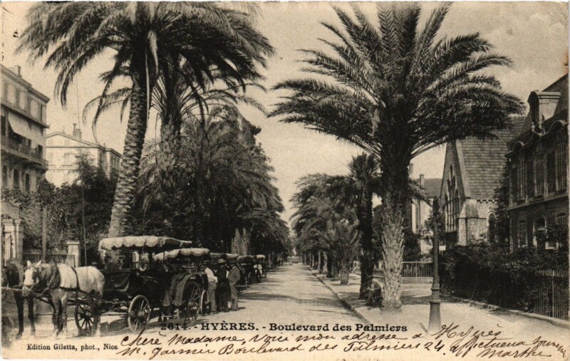 Carte postale ancienne Hyeres - Boulevard des Palmiers à Hyères