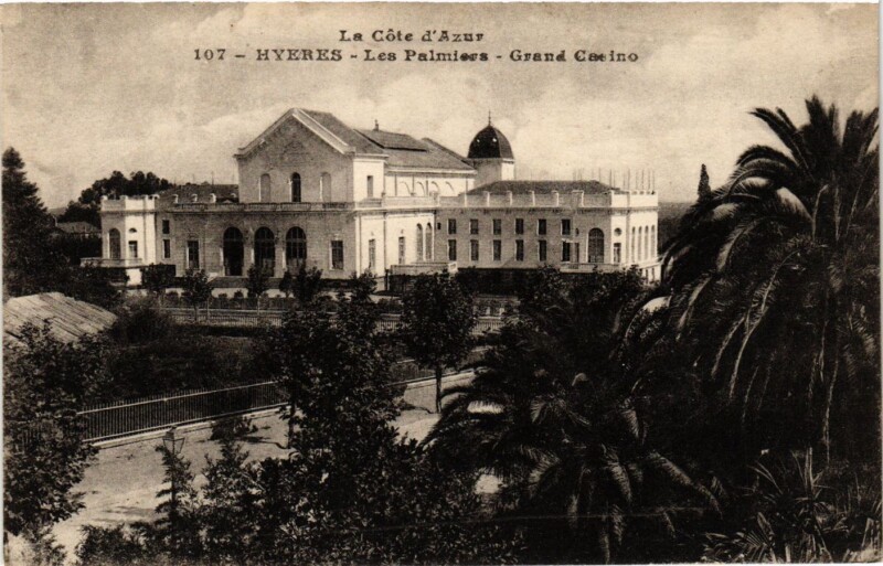 Carte postale ancienne Hyeres - Les Palmiers à Hyères
