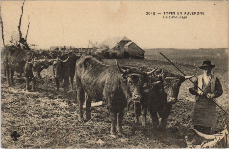 Carte postale ancienne Types en Auvergne - Le Labourage
