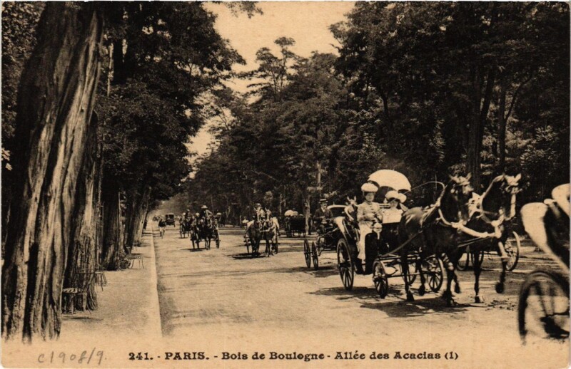Carte postale ancienne Bois de Boulogne - Allée des Acacias à Paris 16e