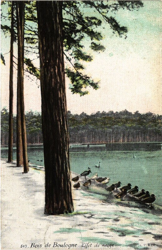 Carte postale ancienne Bois de Boulogne - Effet de neige à Paris 16e
