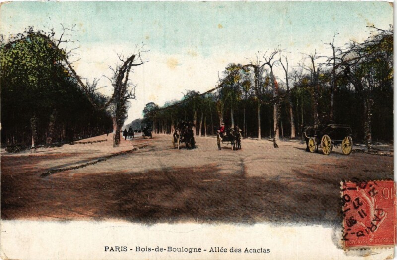 Carte postale ancienne Bois-de-Boulogne - Allée des Acacias à Paris 16e