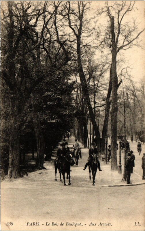 Carte postale ancienne Le Bois de Boulogne - Aux Acacias à Paris 16e