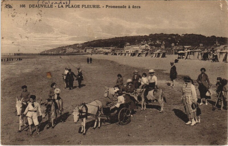 Carte postale ancienne Deauville La Plage Fleurie - Promenade a Anes à Deauville
