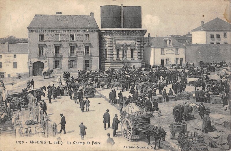 Carte postale ancienne Ancenis - Le Champ De Foire