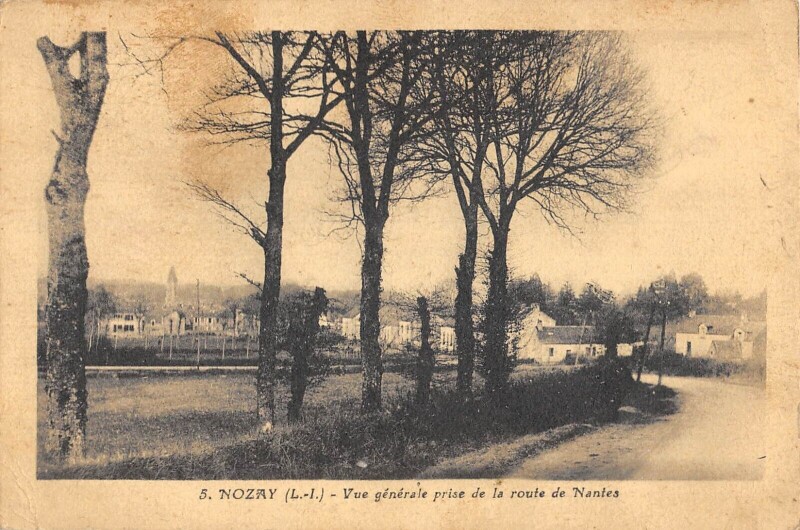 Carte postale ancienne Nozay - Vue Generale Prise De La Route De Nantes à Nozay