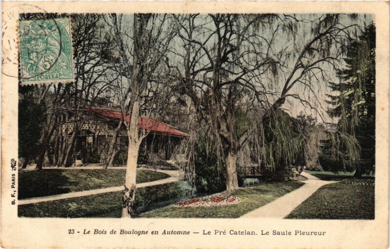 Carte postale ancienne Le Bois de Boulogne en Automne - Le Pré Catelan - Le Saule Pleureur à Paris 16e