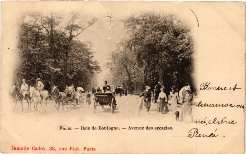 Carte postale ancienne Bois de Boulogne - Avenue des accacias à Paris 16e