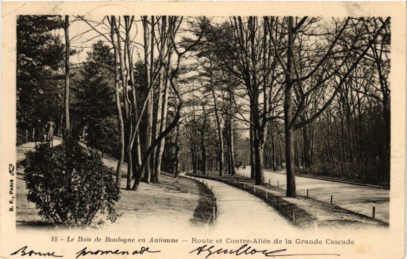 Carte postale ancienne Le Bois de Boulogne en Automne - Route et Contre-Allée de la Grande Cascade à Paris 16e