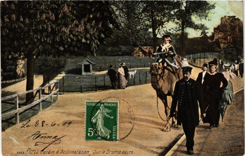 Carte postale ancienne Jardin d'Acclimatation - Sur le Dromadaire à Neuilly-sur-Seine