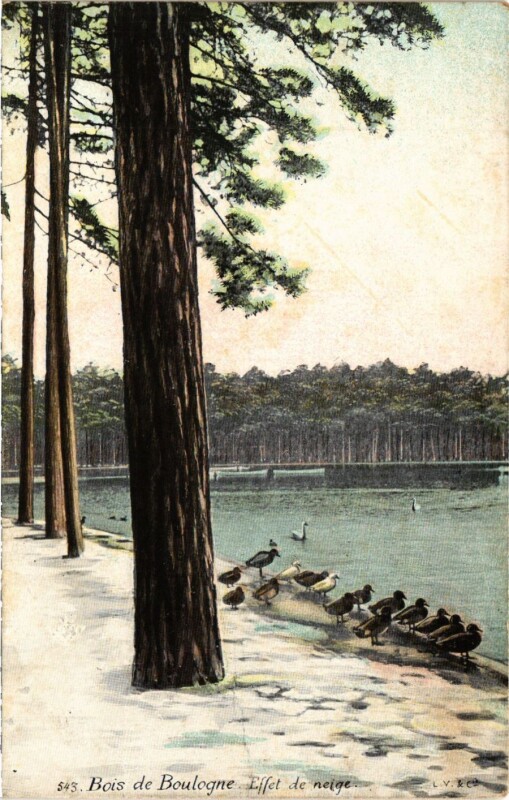 Carte postale ancienne Bois de Boulogne - Effet de neige à Paris 16e