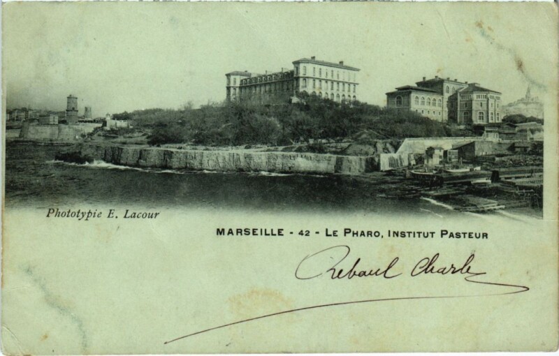 Carte postale ancienne Marseille Le Pharo, Institut Pasteur à Marseille