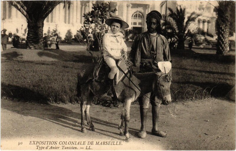 Carte postale ancienne Marseille - Expo Coloniale Type D'Anier Tunisien à Marseille
