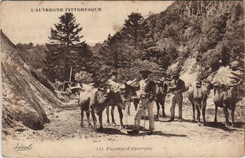 Carte postale ancienne Paysage d'Auvergne