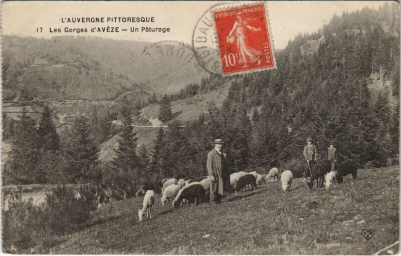 Carte postale ancienne Les Gorges d'Aveze - Un Paturage