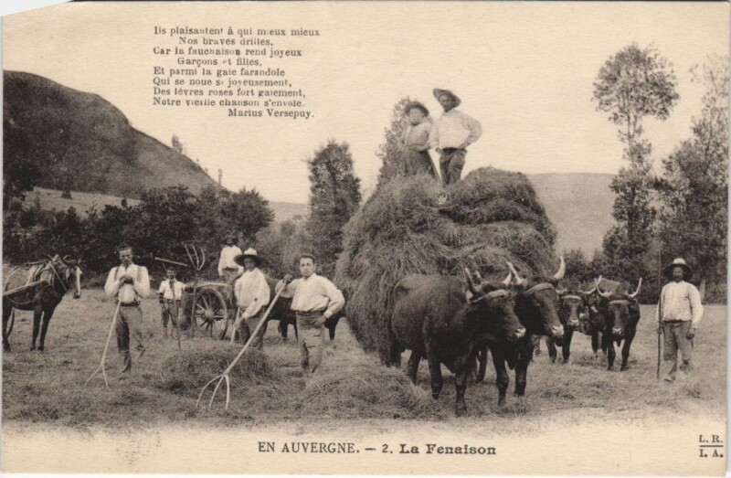 Carte postale ancienne En Auvergne - La Fenaison