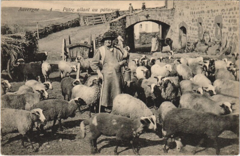 Carte postale ancienne Auvergne - Patre Allant au Paturage