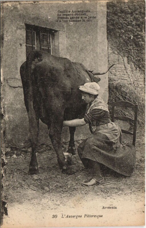 Carte postale ancienne Lady with a Cow