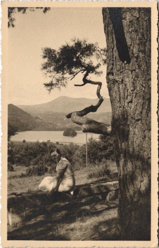 Carte postale ancienne Le Lac Chambon