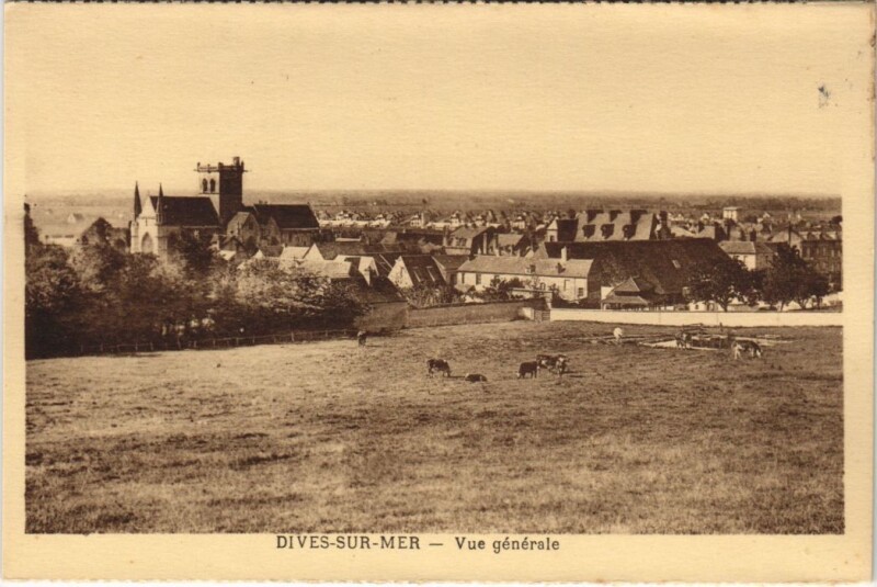 Carte postale ancienne Dives Vue Generale