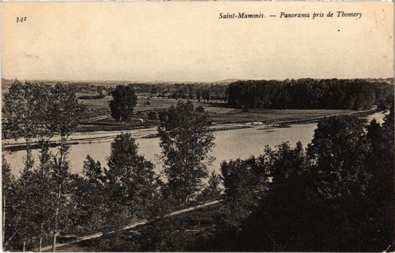 Carte postale ancienne Saint-Mammes Panorama pris de Thomery à Thomery