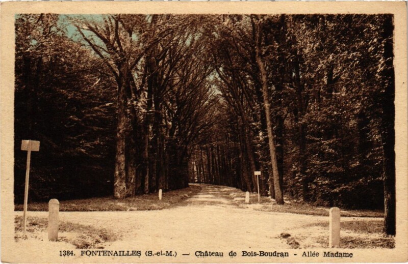 Carte postale ancienne Fontenailles - Chateau de Bois-Boudran - Allee Madame à Fontenailles