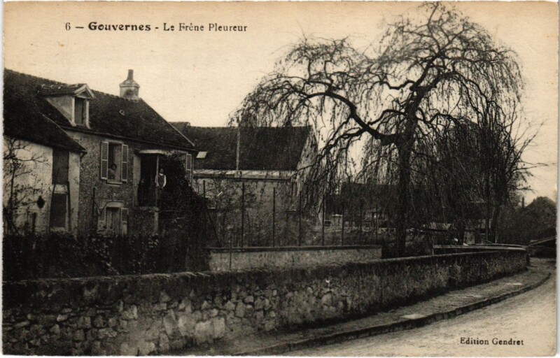 Carte postale ancienne Gouvernes - La Frene Pleureur à Gouvernes