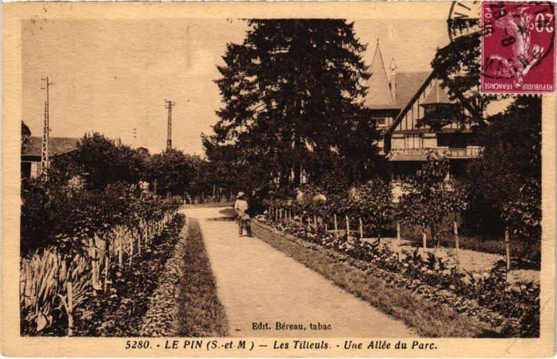 Carte postale ancienne Le Pin - Les Tilleuls - Une Allee du Parc au Pin