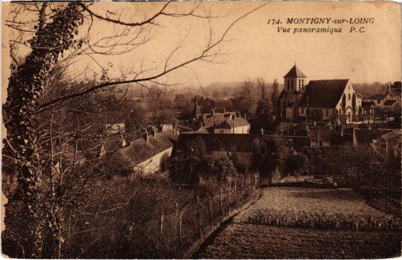 Carte postale ancienne Montigny-sur-Loing - Vue Panoramique à Montigny-sur-Loing