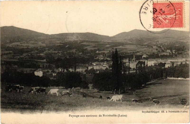 Carte postale ancienne Paysage aux Environs de Noiretable
