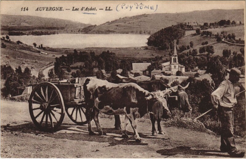 Carte postale ancienne Lac d'Aydat à Aydat