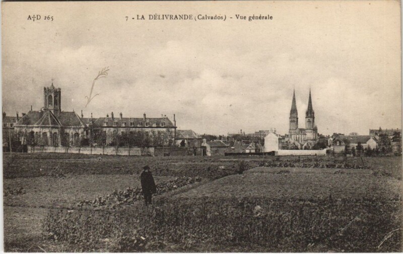 Carte postale ancienne La Delivrande Vue Generale
